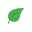 AnkiDecks logo