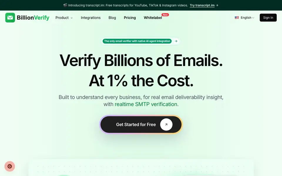 EmailVerify homepage screenshot